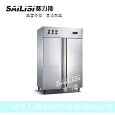 赛力斯两门厨房柜立式商用冰柜冰箱冷柜立式