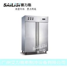 賽力斯兩門廚房柜立式商用冰柜冰箱冷柜立式
