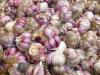 紫皮大蒜大蒜种子价格