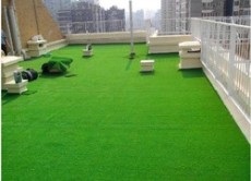 北京哪里批发假草坪