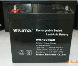 WM-12V40AH 直流屏Wilima电池厂家现货