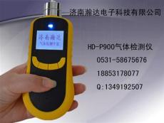 HD-P900便携式防爆型气体检测仪可燃性/易燃