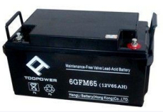 天力UPS电池6GFM65 TOOPOWER电源厂家供应
