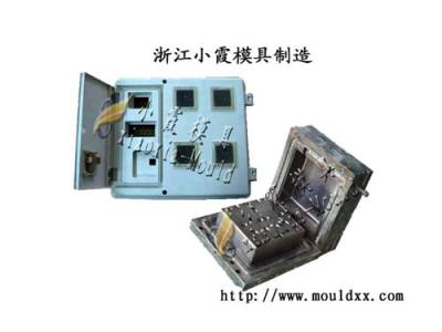 料电表箱模具 加工 Plastic mould