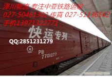 武汉广州国际铁路运输