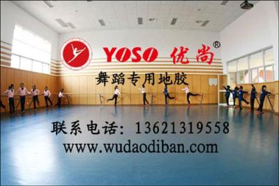 专业跳舞地板 舞蹈把干
