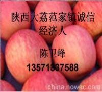 陕西大荔县红富士苹果