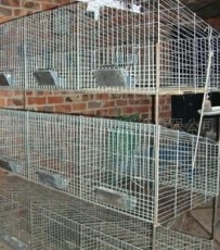 兔笼种类大全 兔笼材质选择