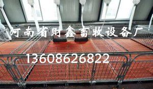 豬場保育床 幼豬保育床 財鑫畜牧