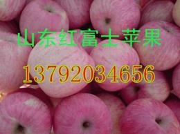 山东红富士苹果价格供应信息山东苹果价格