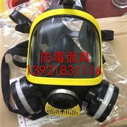 DF-02全面罩防毒面具