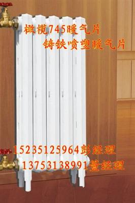 橄榄745系列暖气片陕西厂家直销咸阳渭南