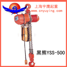 臺灣永升電動葫蘆 永升電動葫蘆鏈條
