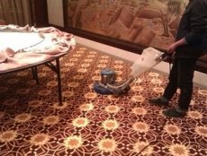 上海浦东区新金桥路地毯清洗 修补办公地毯