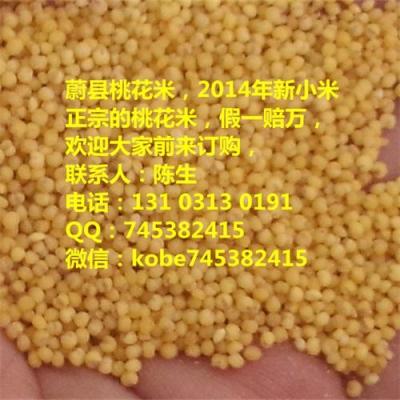 小米糧食價格 谷綠農品有機小米 雜糧黃小米