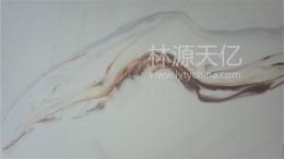 耐磨地坪 林源天亿