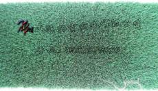 绿绒糙面布 绿色糙面带 剪毛机用绿绒